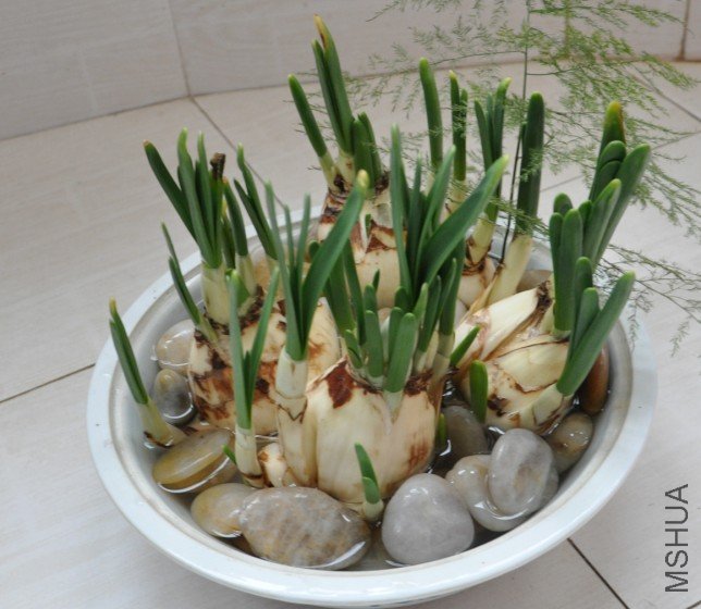 QQ��ͼ20120109204646.jpg