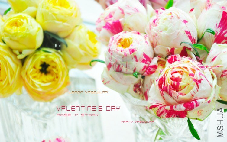 Valentine's Day8.jpg