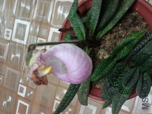 nEO_IMG_2012-02-09 20.45.57.jpg