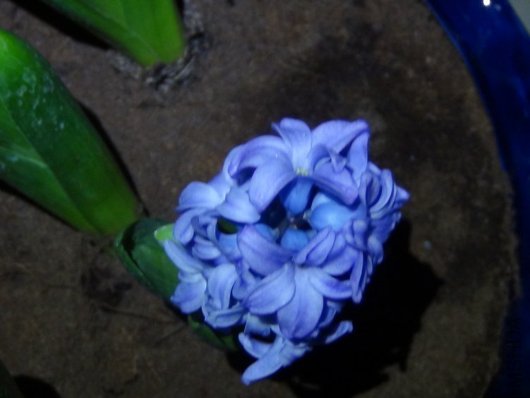 DSC01342.JPG