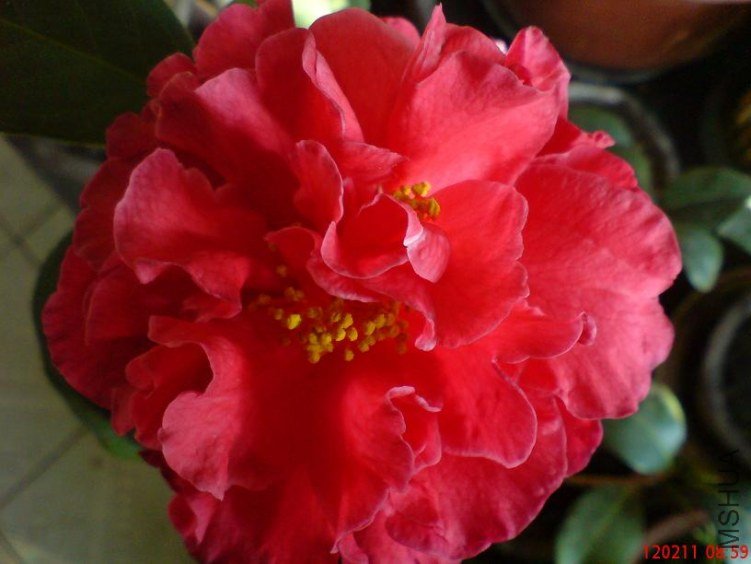 DSC02950.JPG