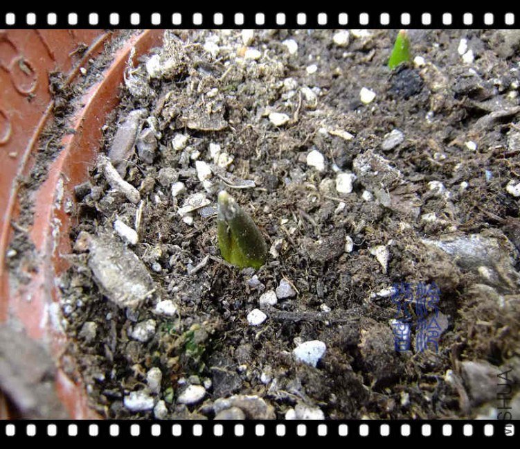 DSCF7437.jpg