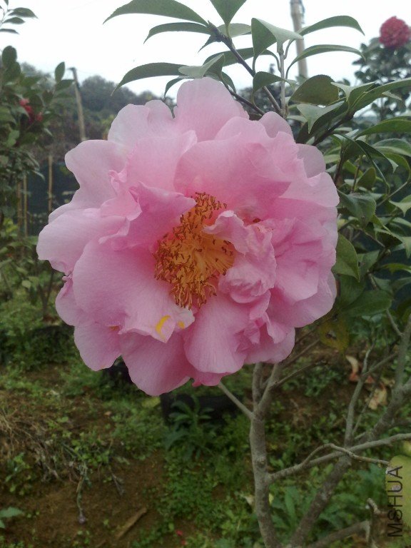 201202111197.jpg