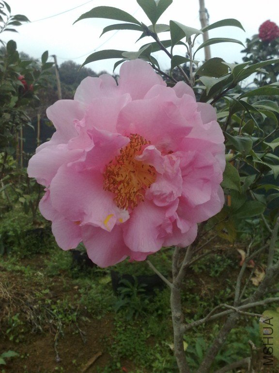 201202111198.jpg