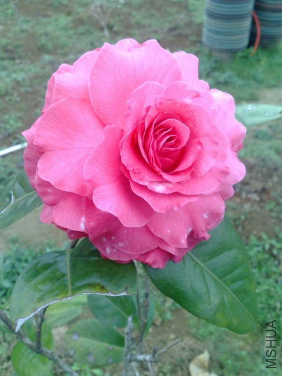 201202111191.jpg