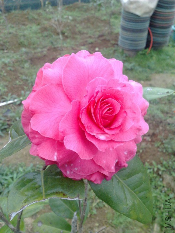 201202111192.jpg