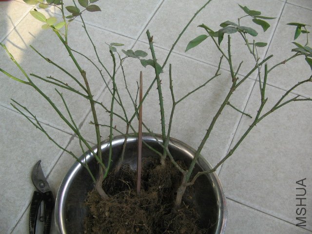 ��3�飬�ȿ��Ӵ���