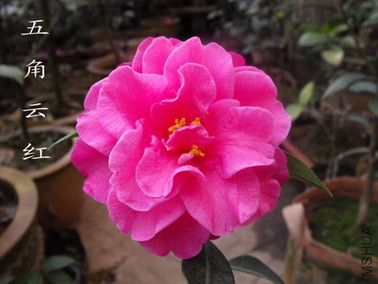 DSCF0576.jpg