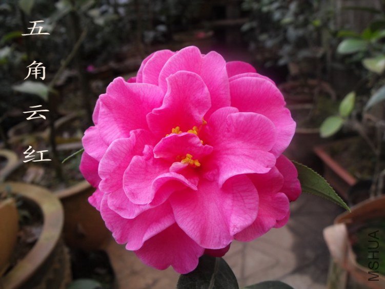 DSCF0577.jpg