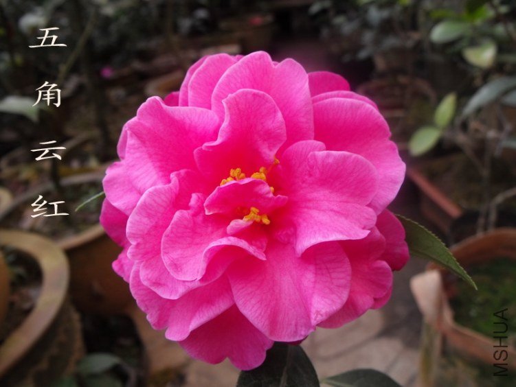 DSCF0578.jpg