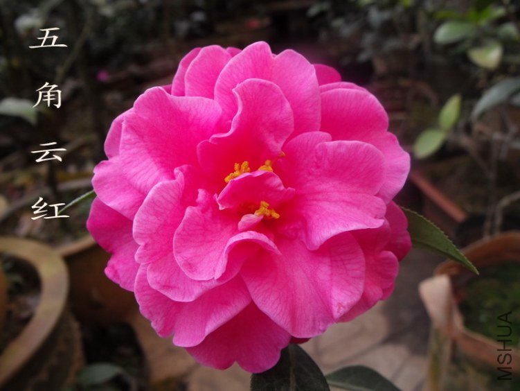 DSCF0579.jpg