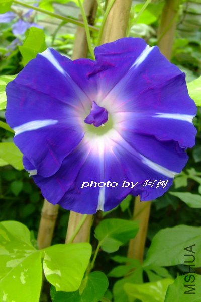 ��ʿ֮�� �ذ�.jpg