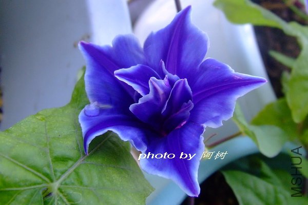 �۹���ʨ�� �ذ� 3.jpg