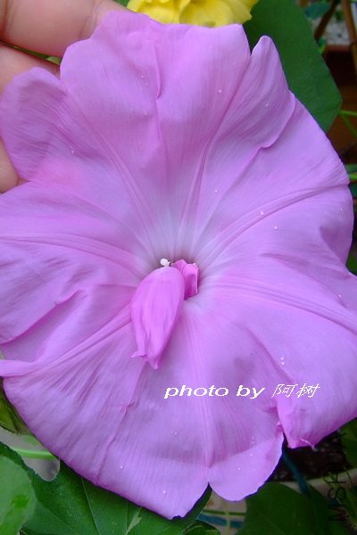 ƽ��֮�� �ذ�.jpg