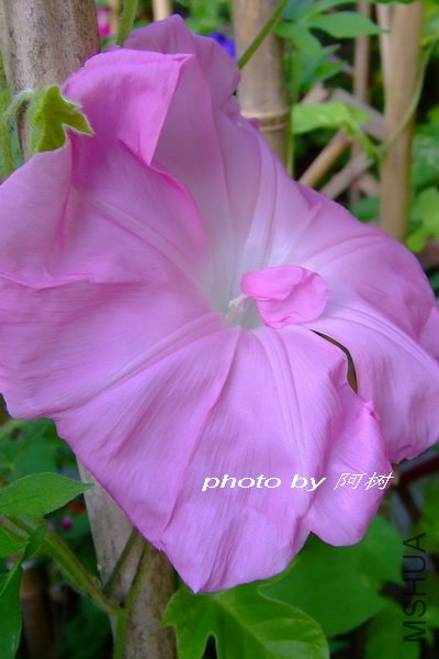 ƽ��֮�� �ذ� 2.jpg