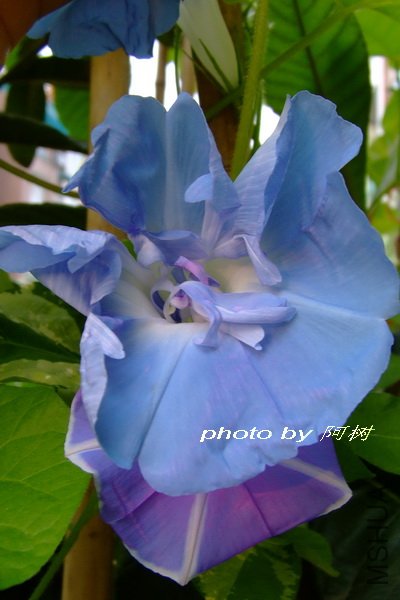 ˮ�� �ذ�.jpg