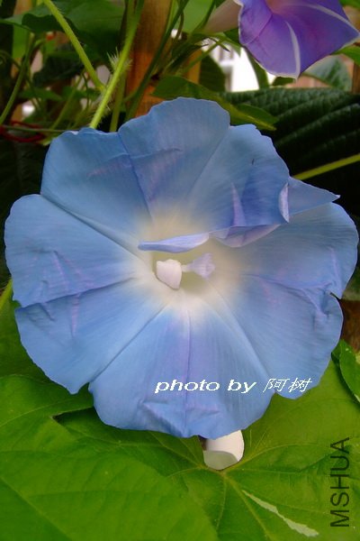 ˮ�� �ذ� 2.jpg