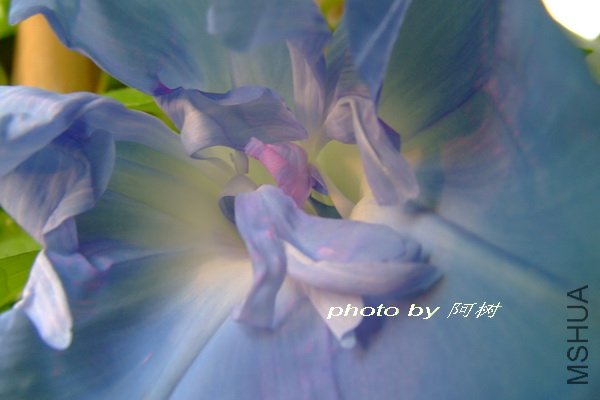 ˮ�� �ذ� 3.jpg