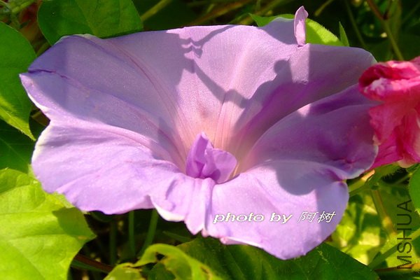 ���� �ذ�.jpg