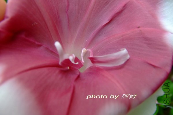 Ϧ�� �ذ�.jpg