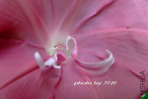 Ϧ�� �ذ� 2.jpg