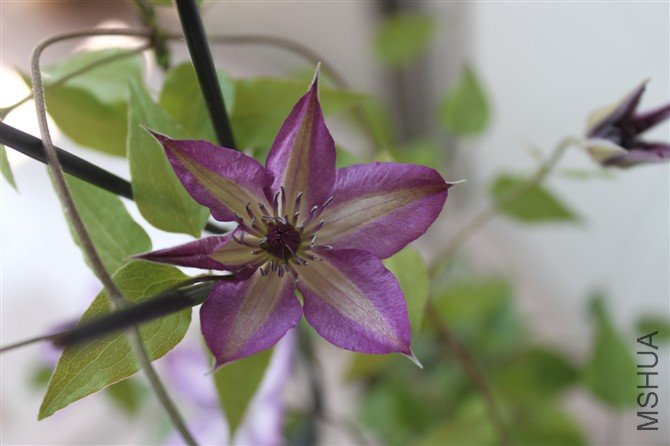 ���аﻨ��