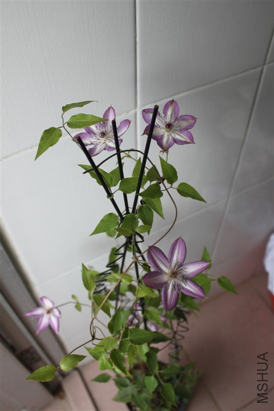 ����������а����