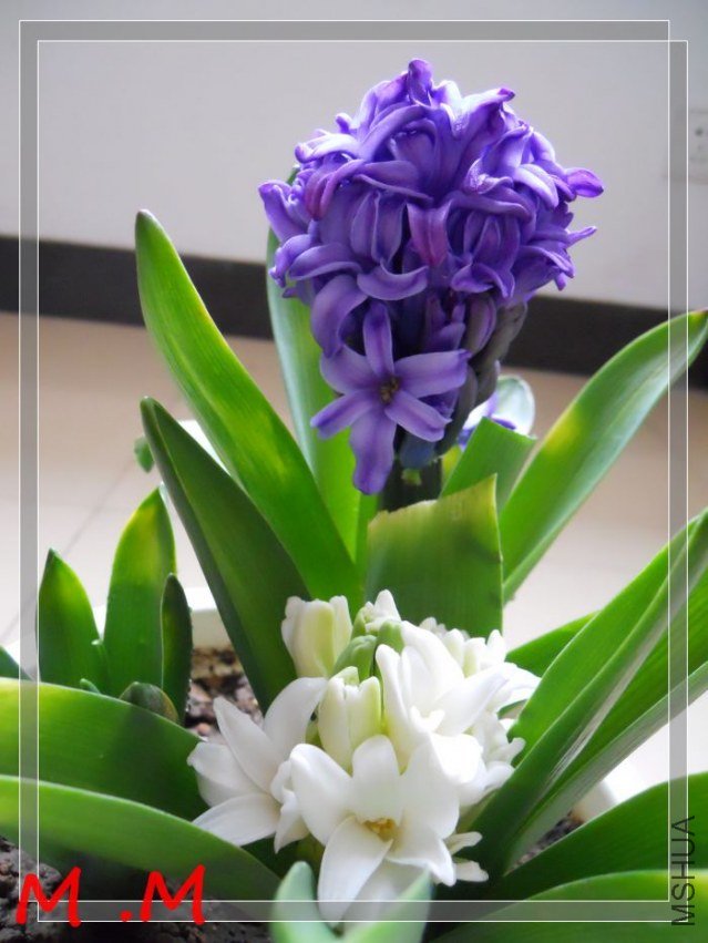 dscn0014.jpg