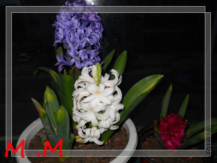 dscn1857.jpg