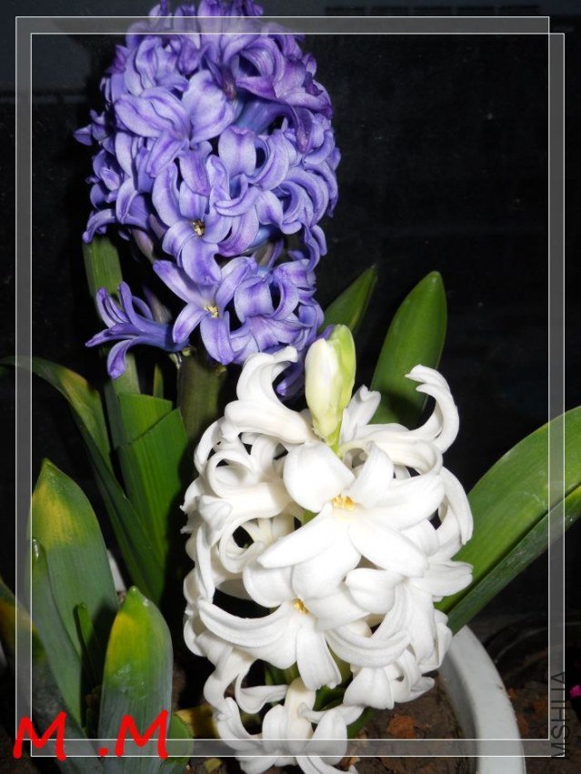 dscn1858.jpg
