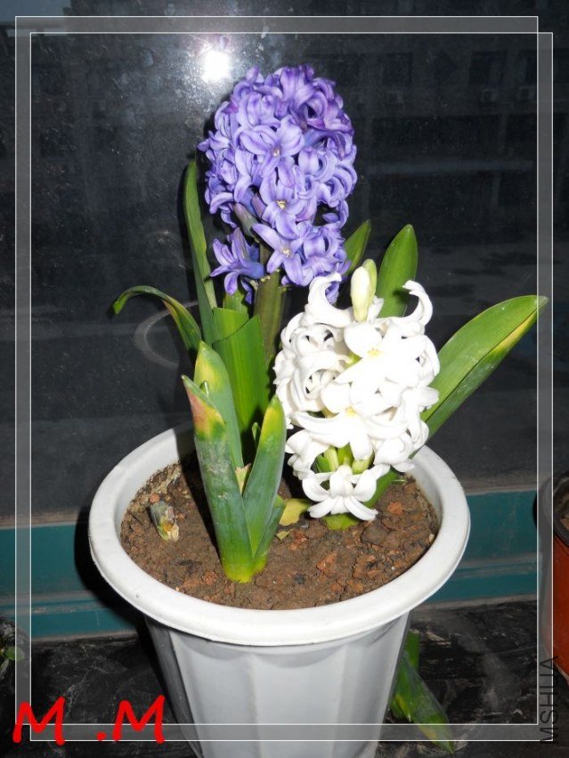 dscn1859.jpg