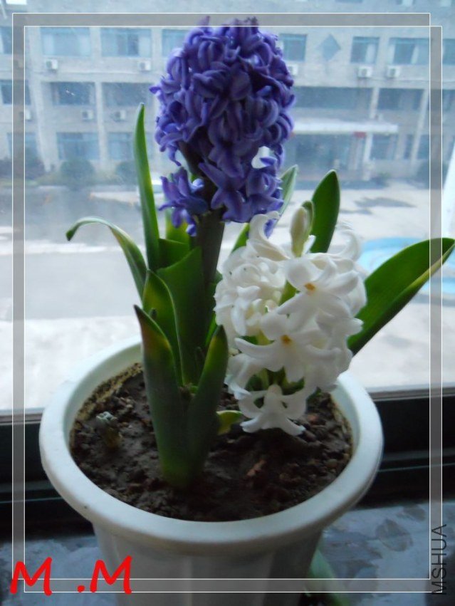 dscn1860.jpg