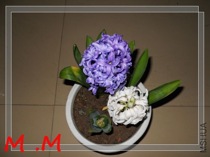 dscn1863.jpg