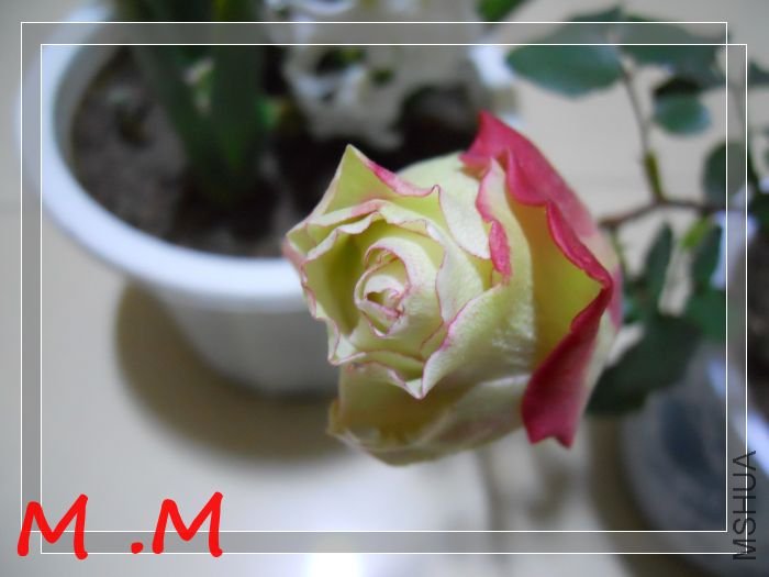 dscn1870.jpg