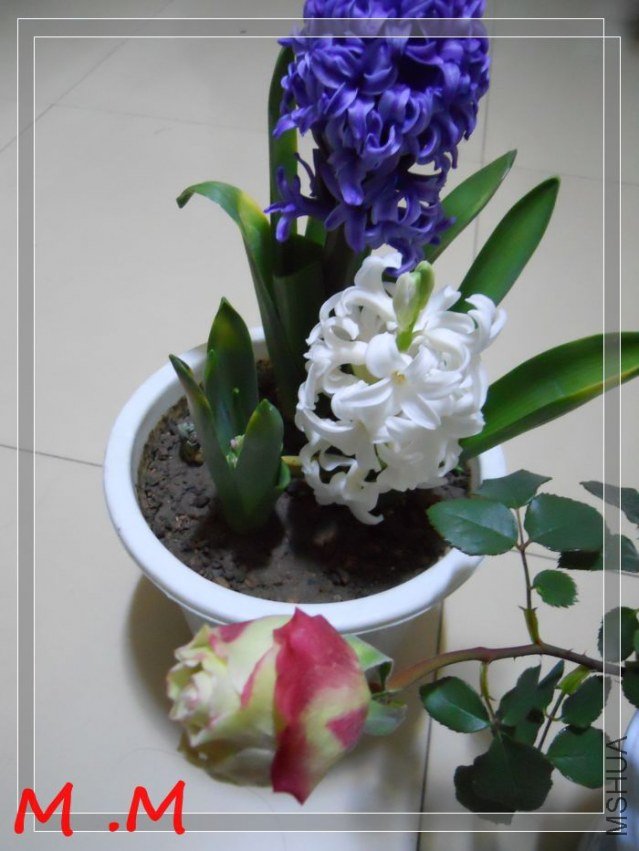dscn1867.jpg