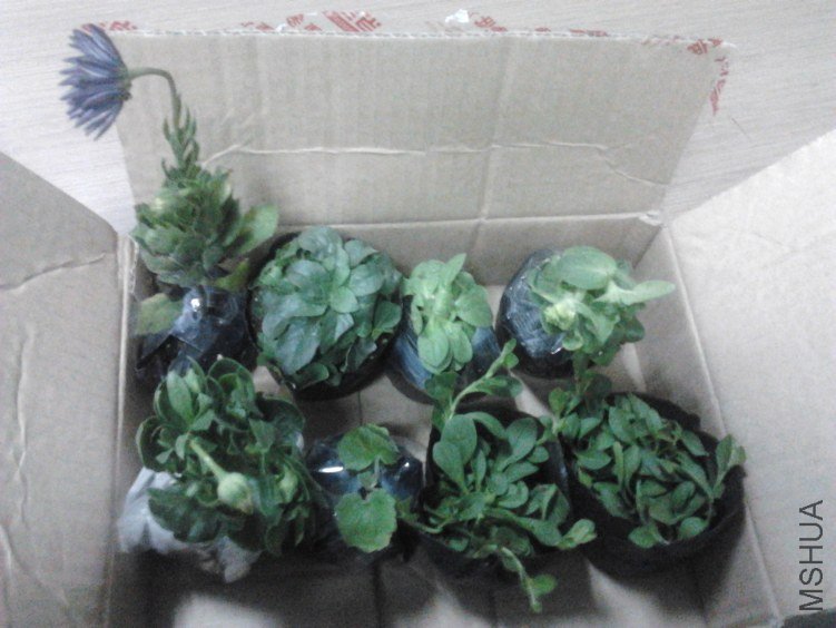 2012-02-14 17.00.56.jpg