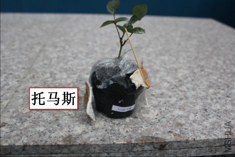 2012-02-14_193108.jpg