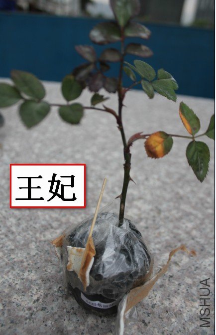 2012-02-14_193218.jpg