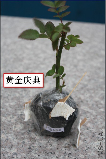 2012-02-14_193430.jpg