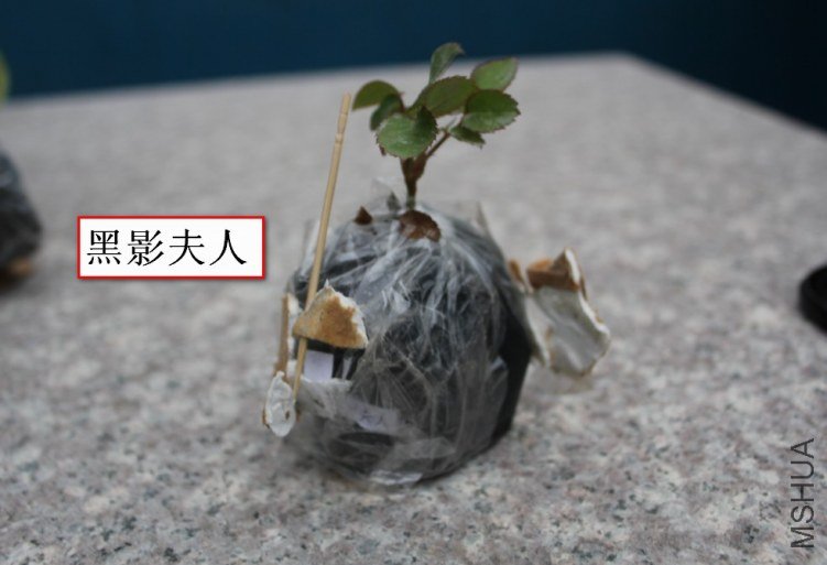 2012-02-14_194336.jpg