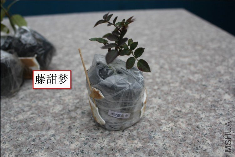 2012-02-14_194435.jpg