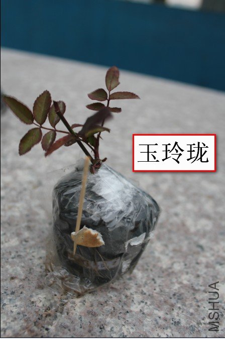 2012-02-14_194727.jpg