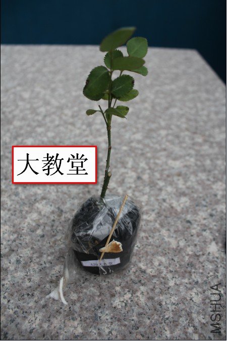 2012-02-14_195305.jpg