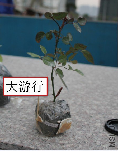 2012-02-14_195548.jpg