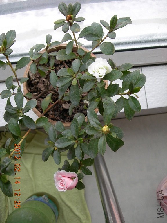DSCN0796.JPG