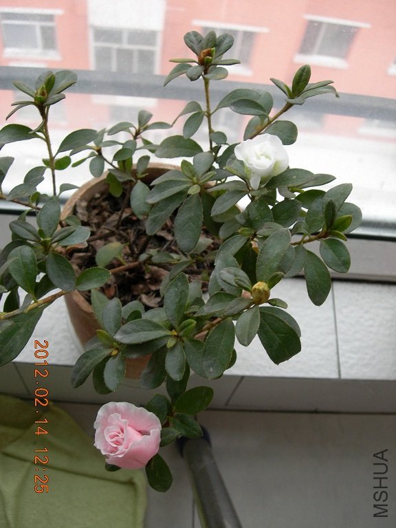 DSCN0797.JPG