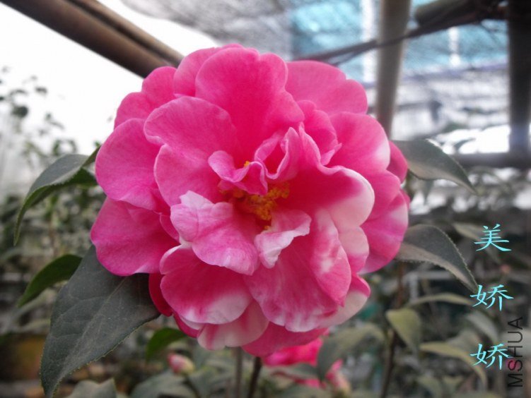 DSCF0657.jpg