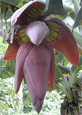 �Ž������Ļ�