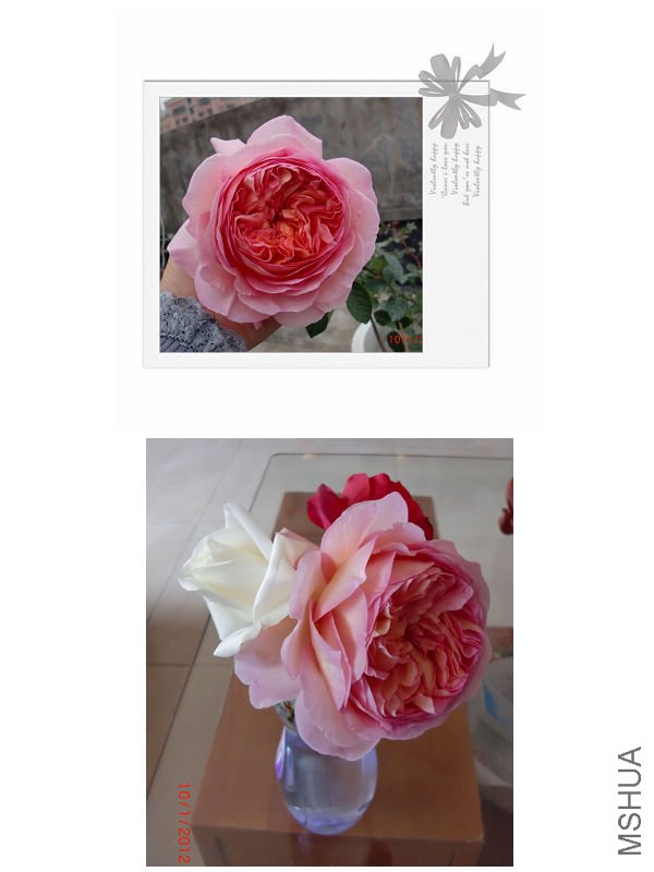 nEO_IMG_�ǲ�����6.jpg