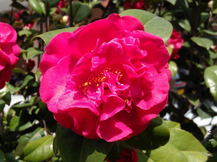 IMAG0348.jpg